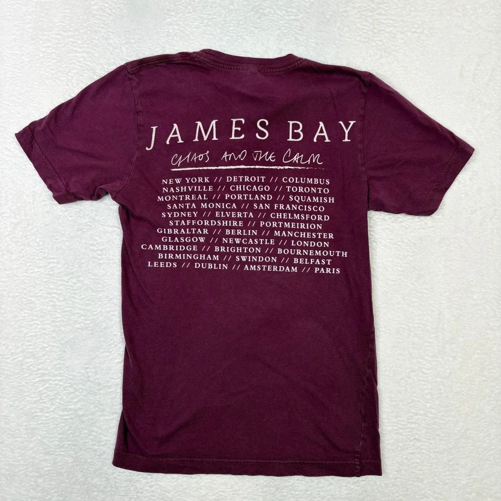 James Bay Chaos and the Calm Concert Tour Graphic T-Shirt Maroon XS Bella Canvas